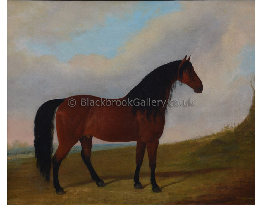 Cleveland bay stallion by J. Paul antique animal paintings