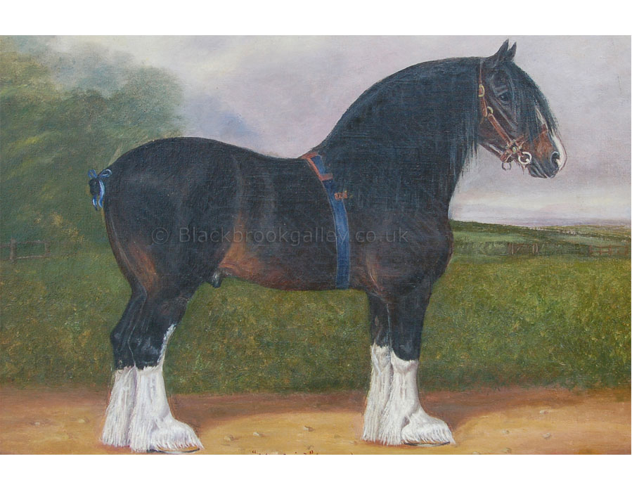 Madrid a champion clydesdale horse by Frederick Thurlby antique animal paintings