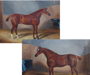 A pair of chestnut riding horses by James Clark naive animal paintings