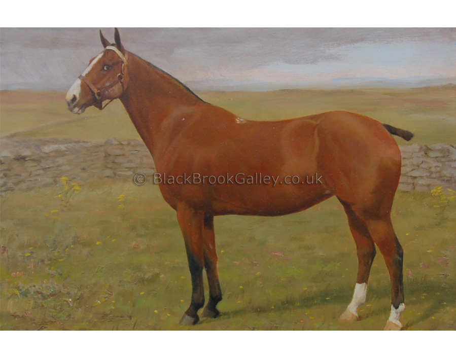 Bay horse by Mabel Hollams antique animal paintings
