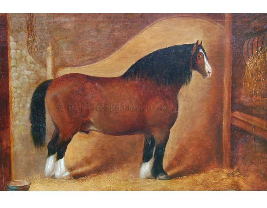 Clydesdale stallion Sir Walter Scott by C. Mitchell antique animal paintings