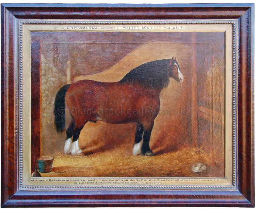 Clydesdale stallion Sir Walter Scott by C. Mitchell antique animal portrait