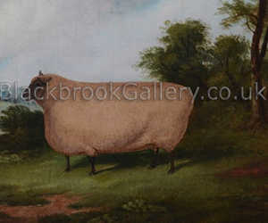 Clun forest ewe by Richard Whitford naive animal paintings