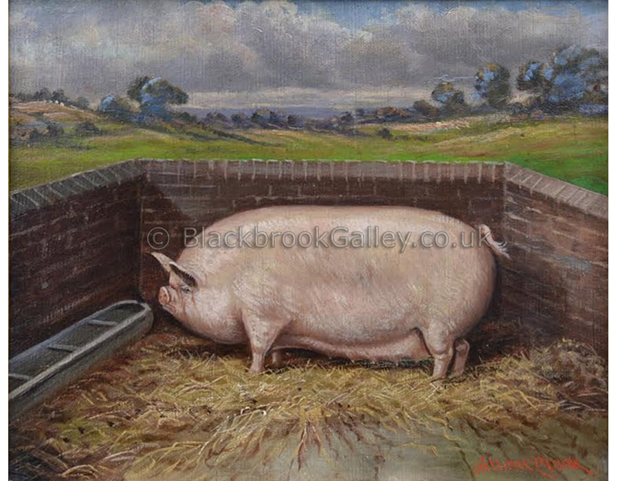 Middlewhite pig in a sty by Albert Clark antique animal paintings