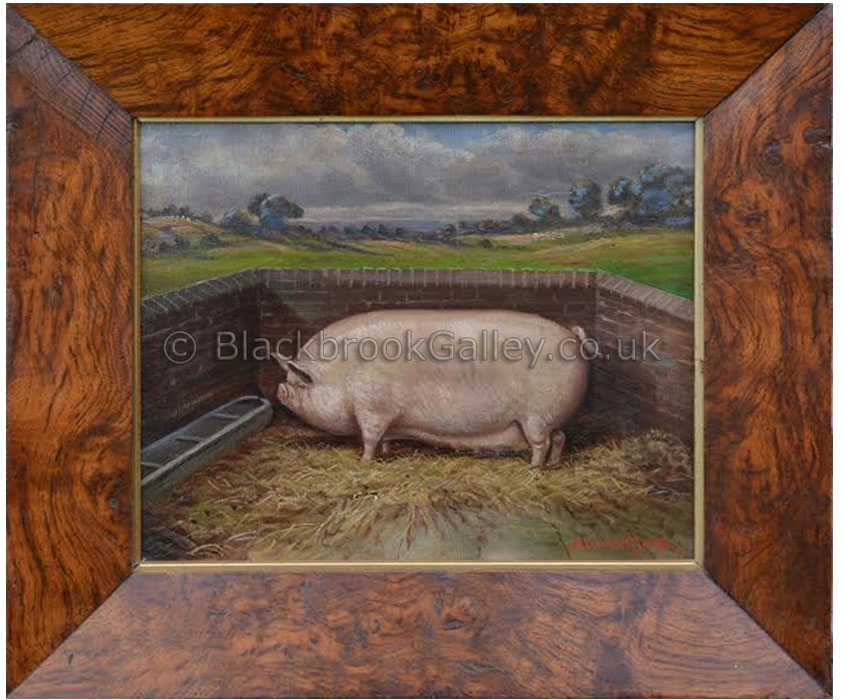 Middlewhite pig in a sty by Albert Clark antique animal portrait