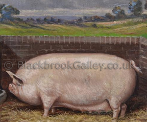 Middlewhite pig in a sty by Albert Clark naive animal paintings