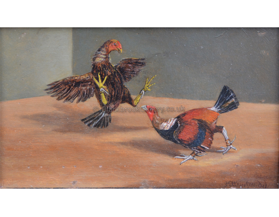 Old English Game Cocks, Antique Animal Painting, Set Of 4