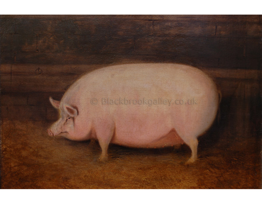 Prize Pig antique animal paintings