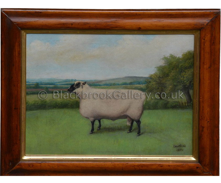 Shropshire ram in a landscape by J. Watkins antique animal portrait