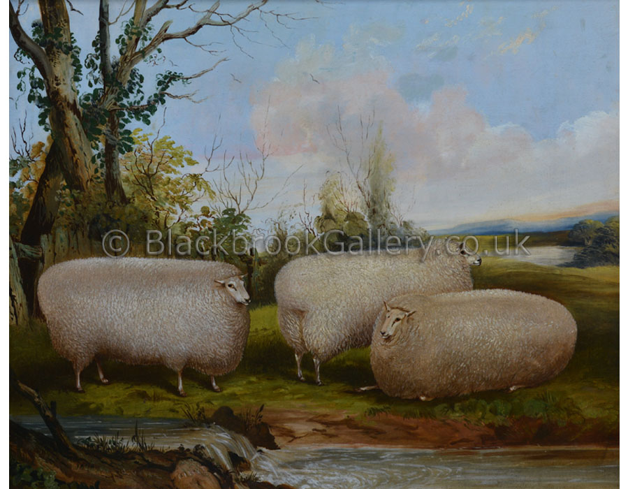 Three ewes in a landscape by John Vine antique animal paintings