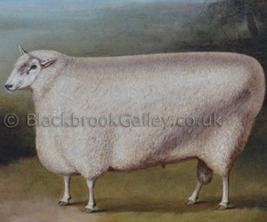 Prize Cotswold Ram by William Henry Davis naive animal paintings