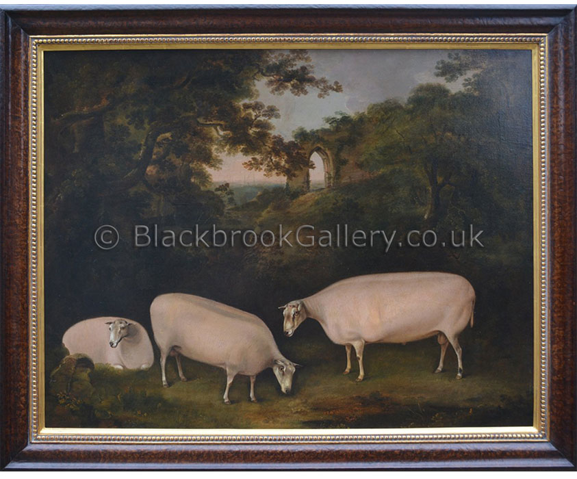 Three Leicester rams by Thomas Weaver antique animal portrait