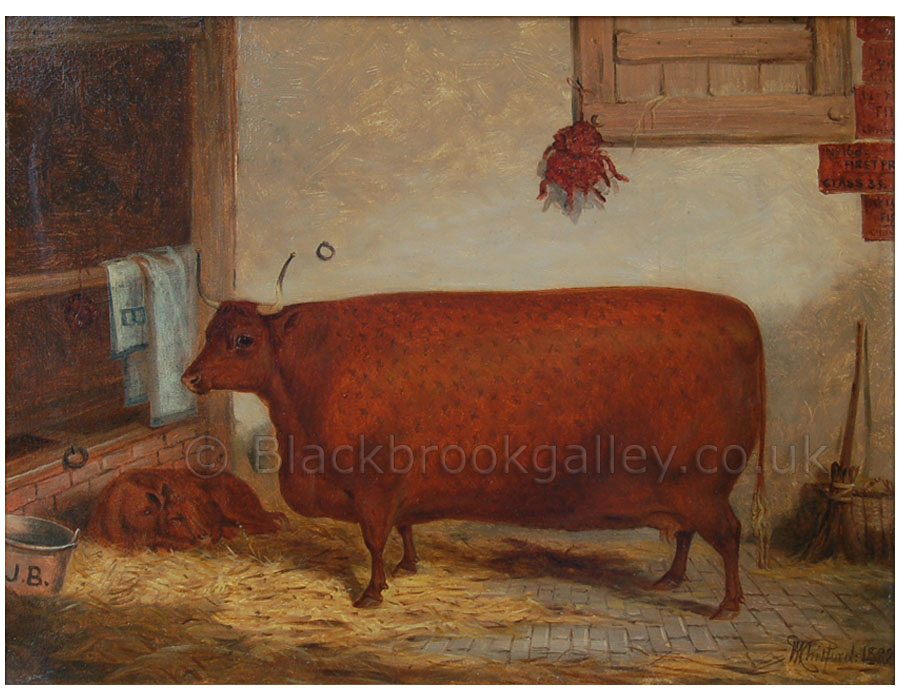 Prize cow & calf in a stable by Richard Whitford antique animal paintings