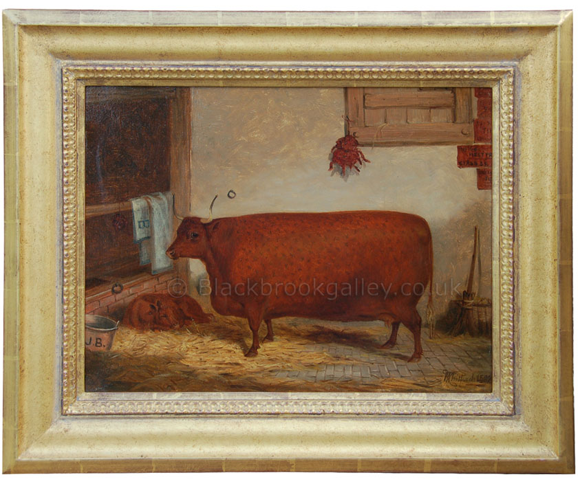Prize cow & calf in a stable by Richard Whitford antique animal portrait
