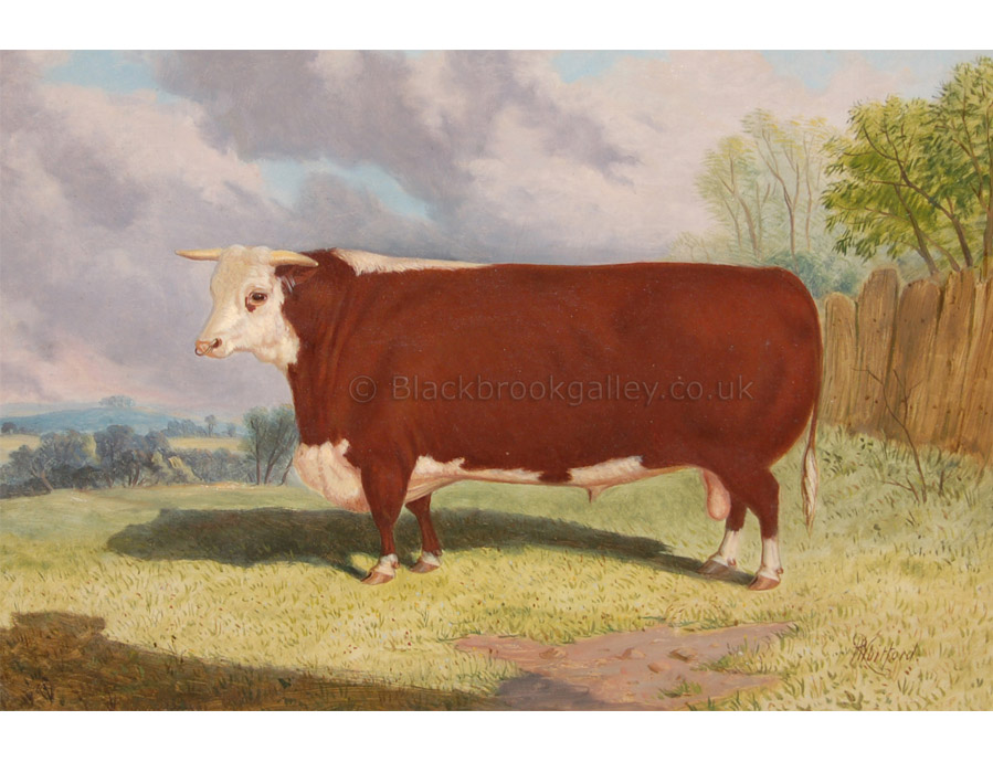 Prize Hereford bull by Richard Whitford antique animal paintings