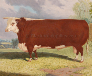 Prize Hereford bull by Richard Whitford naive animal paintings