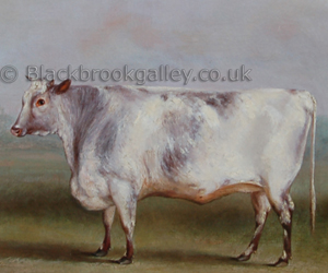 Prize Shorthorn heifer in parkland by William Henry Davis naive animal paintings