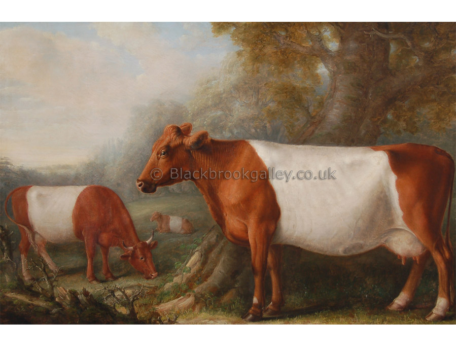 Sheeted Somerset by William Shiels antique animal paintings