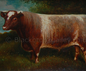Short horn bull Eastham Beau 105379 by Herbert st John Jones naive animal paintings