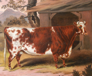 Ayrshire cow by Samuel Spode naive animal paintings