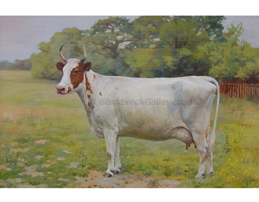Eglinton mains dainty & juno by F.M. Hollams antique animal paintings