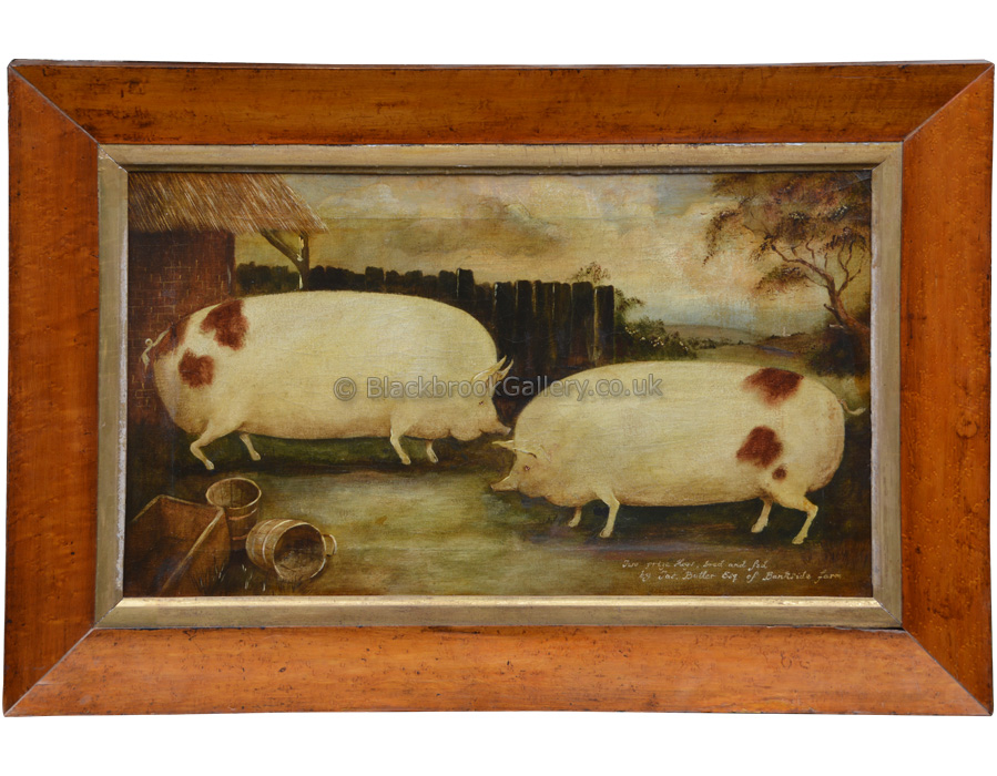 Pair Of Naive Hogs, Framed Antique Animal Painting