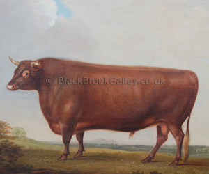 Prize Devon Bull by Thomas Weaver naive animal paintings