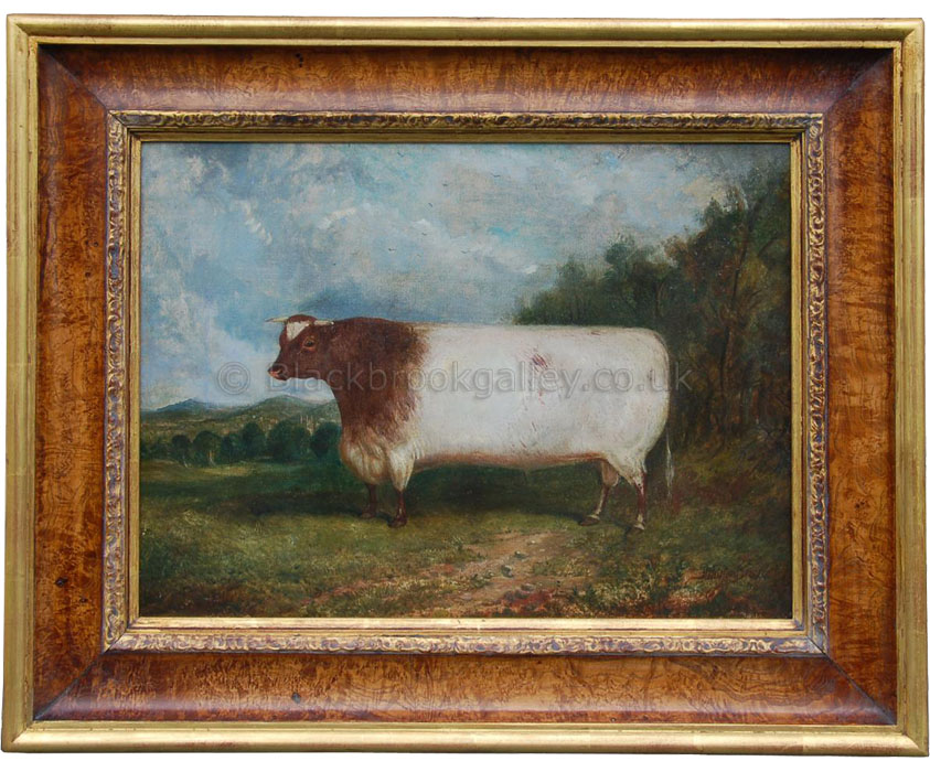 Prize shorthorn bull in a landscape by Richard Whitford antique animal portrait