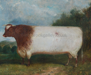 Prize shorthorn bull in a landscape by Richard Whitford naive animal paintings