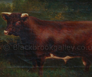 Short horn bull Bapton Fairy Duke 118791 by Herbert st John Jones naive animal paintings