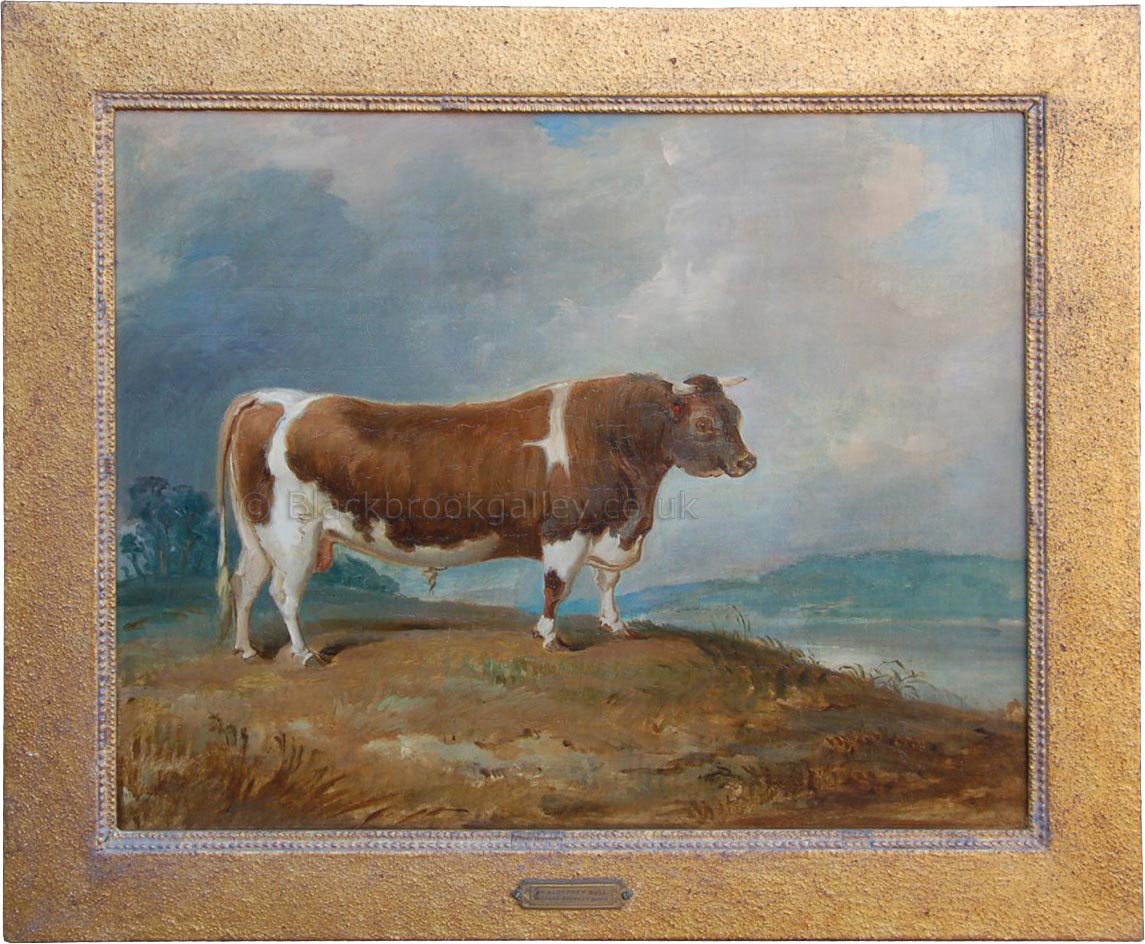 Alderney bull by Richard Barrett Davis antique animal paintings