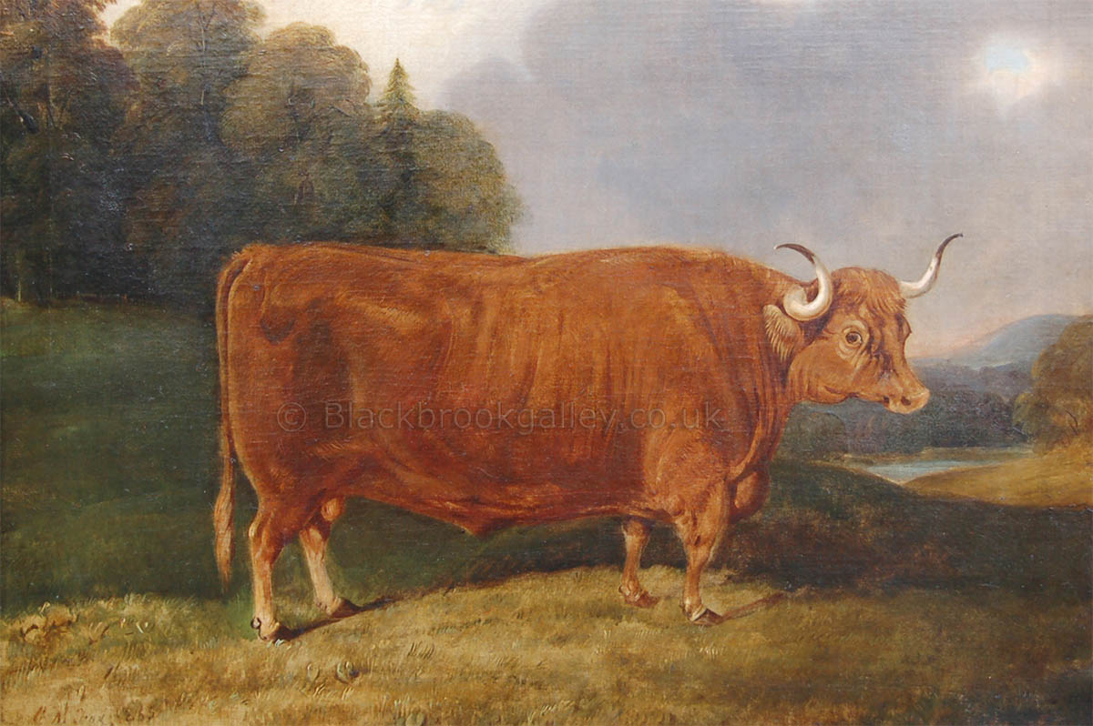 Highland bull in upland landscape by Edwin May Fox antique animal paintings