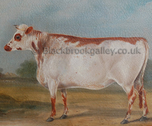Naive heifer in a Norfolk landscape by John Scraggs naive animal paintings