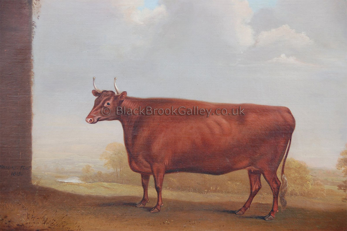 Prize Devon Cow by Thomas Weaver antique animal paintings