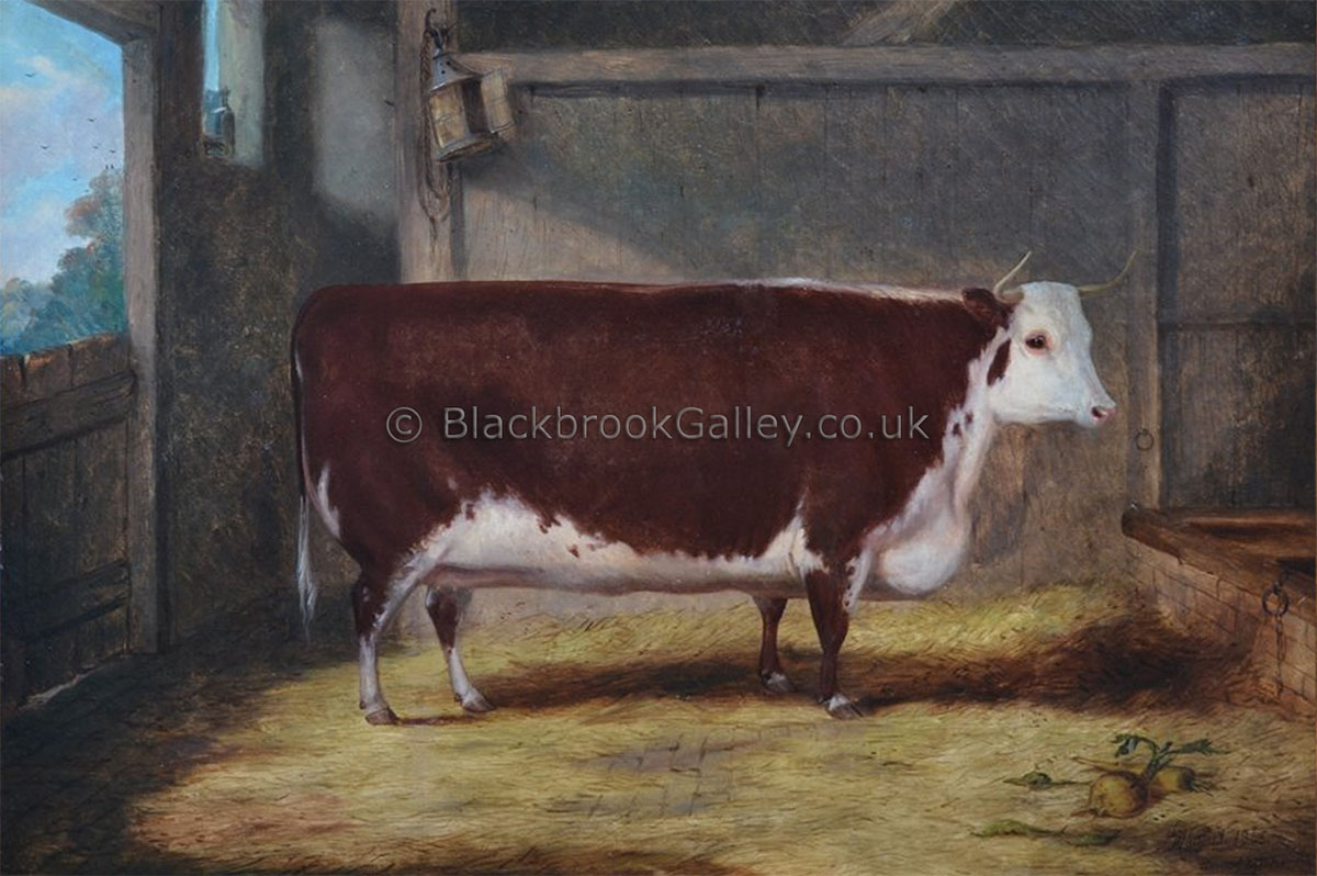 Prize Hereford Heifer by Richard Whitford antique animal paintings