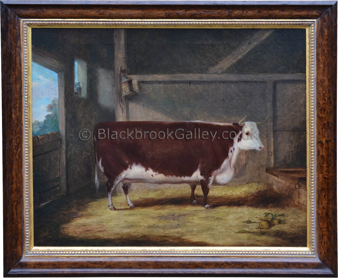 Prize Hereford Heifer by Richard Whitford antique animal portrait