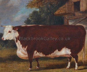 Prize Hereford prized heifer by Richard Whitford naive animal paintings