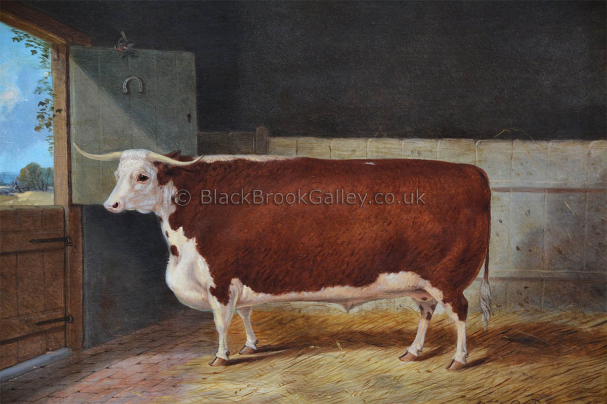 Prize Hereford Steer by Richard Whitford antique animal paintings