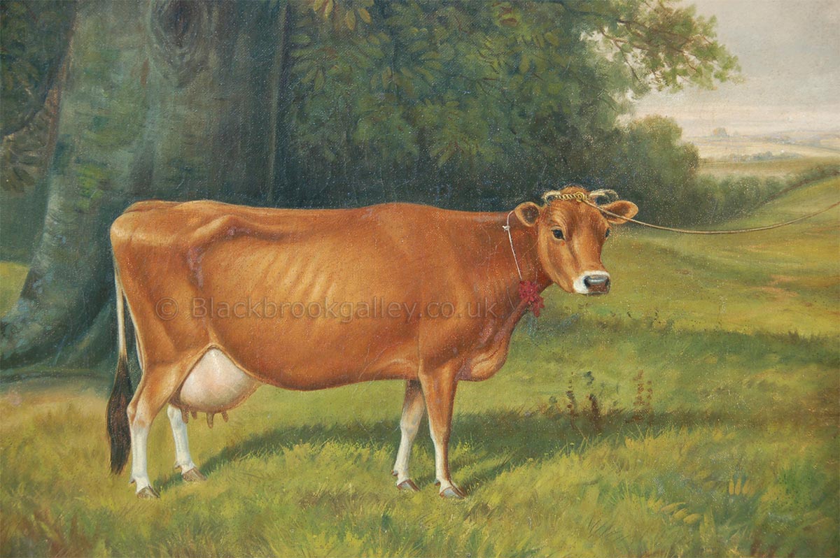 Prize Jersey Cow by William Albert Clark antique animal paintings