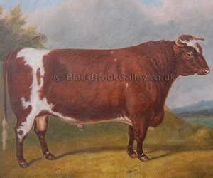 Royal Cumberland by Edward Corbet naive animal paintings