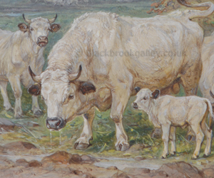 White park cattle naive animal paintings