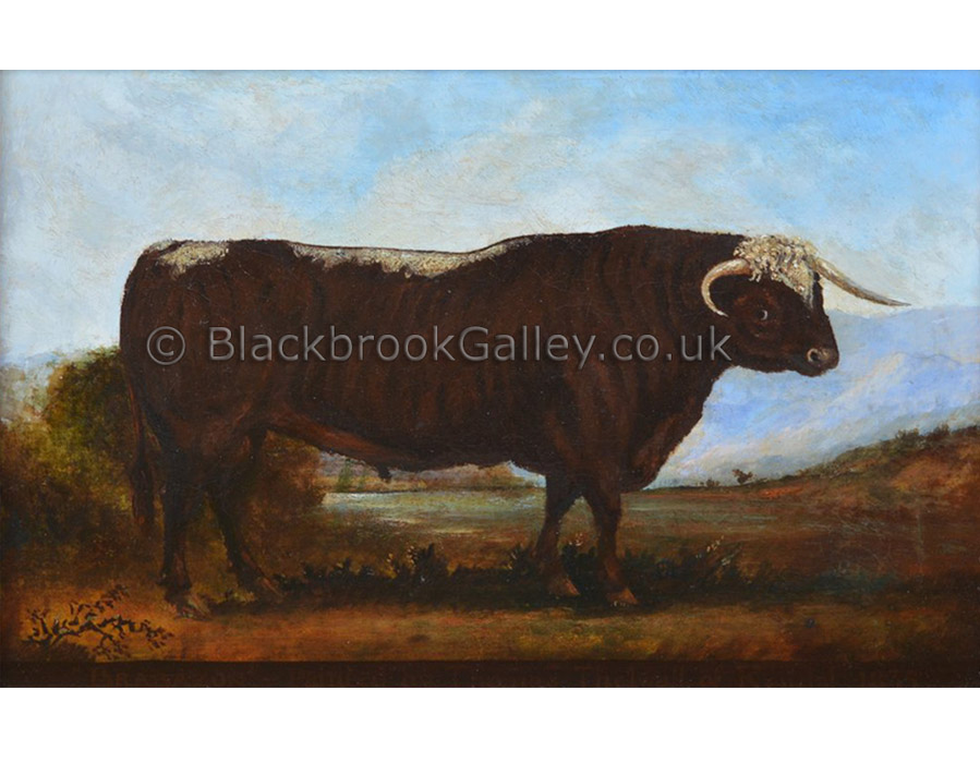 Brabazon longhorn bull in a Lake District landscape by Thomas Thelwall antique animal paintings