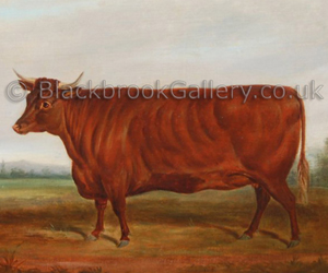 Devon Heifer by James Loder naive animal paintings
