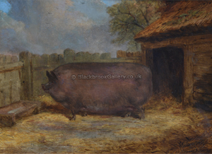 Naive Animal Painting, Large Black Boar In Front Of A Sty