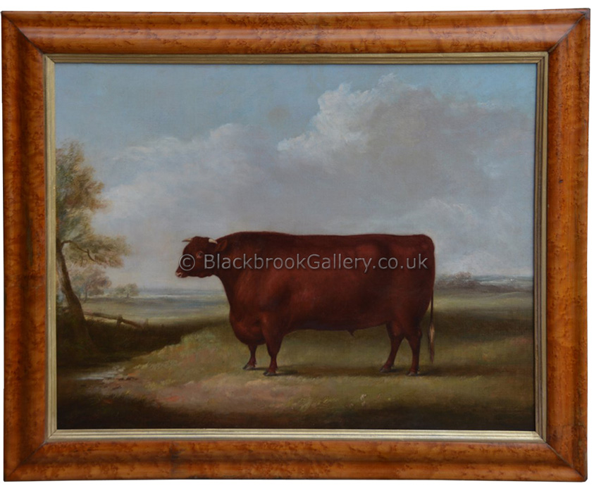 North Devon bull by William Henry Davis antique animal portrait