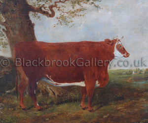 Prize Hereford heifer beneath a tree naive animal paintings