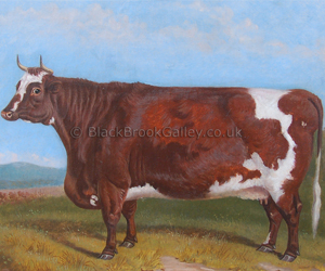 Prize shorthorn cow by Edward Corbet naive animal paintings