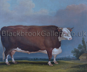 The celebrated Hereford bull Trojan by Thomas Weaver naive animal paintings