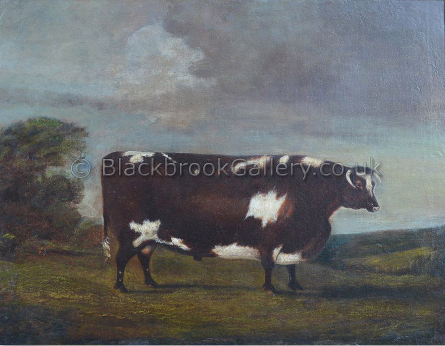 The Everingham prize ox antique animal paintings