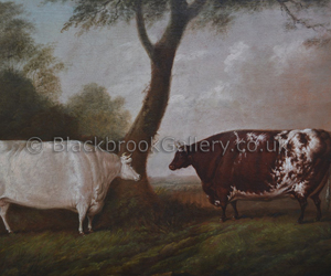 The white heifer which travelled & red rose prize shorthorn cattle by Thomas Fairbairn Wilson naive animal paintings